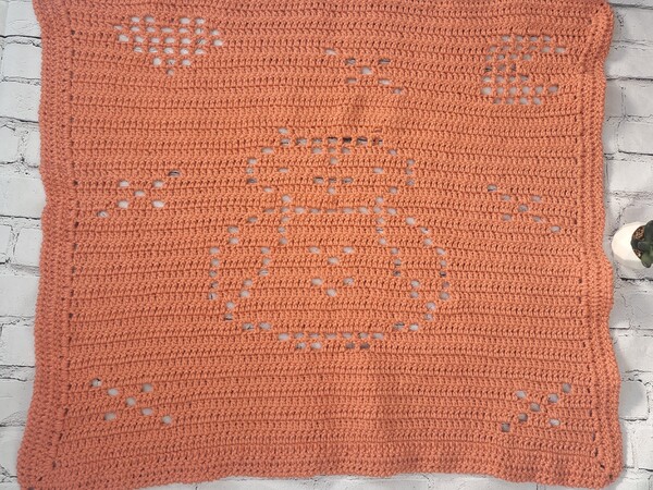 Gratis Häkel Anleitung für eine Baby Decke in Filet Häkel mit Eulen Design