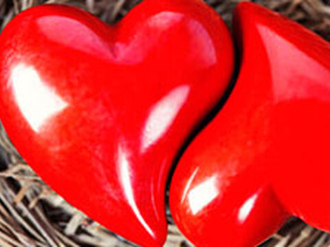 Bestseller - Februar 2014