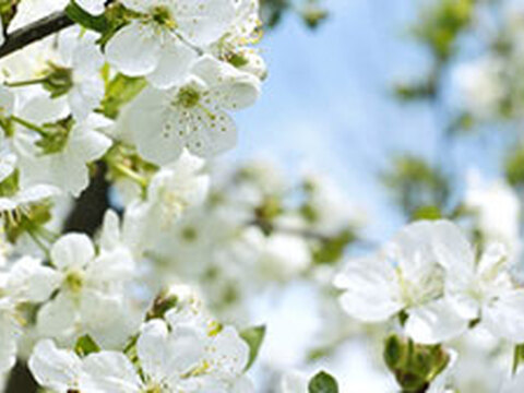 Bestseller - April 2014