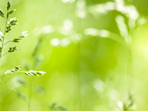 Bestseller - Juni 2014