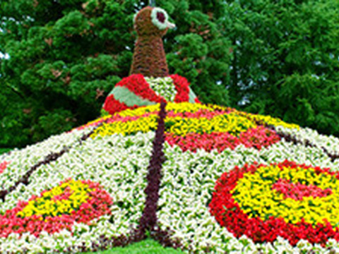 Bestseller - Juli 2014