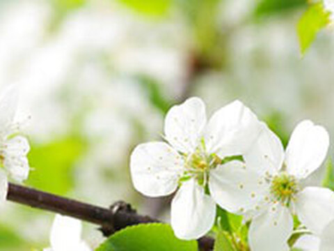 Bestseller - März 2015