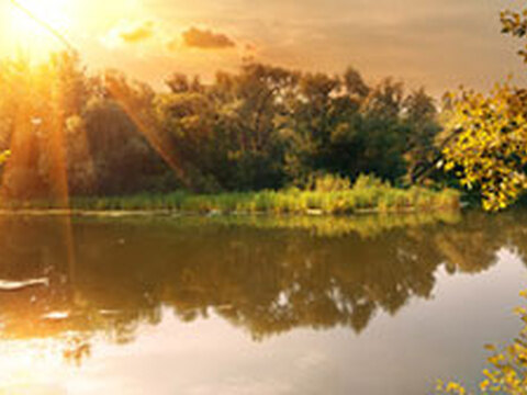 Häkeln + Stricken: Bestseller im September 2015