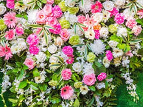 Schnäppchen: Anleitungen unter 1 Euro