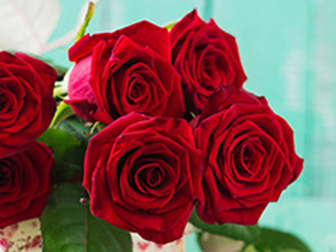 Stricken: Bestseller im Februar 2016