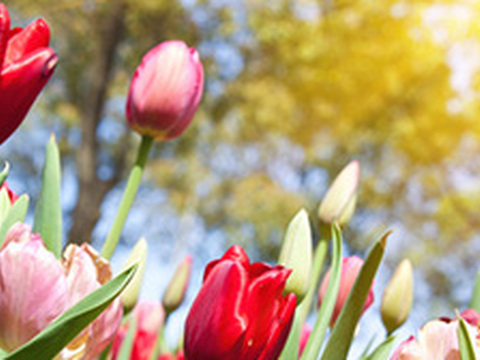 Bestseller im März 2016