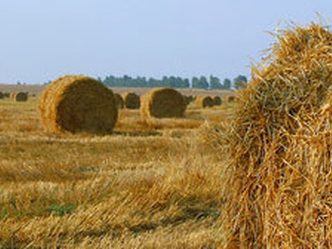 Häkeln: Beliebte Anleitungen im August 2016