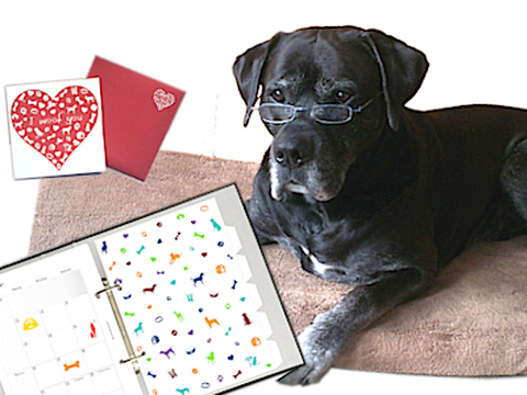 Planer & Papeterie | Planners &  Printables