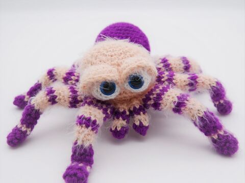 Spinnen, Asseln, Schnecken, Salamander