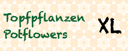 Topfpflanzen / Potflowers XL