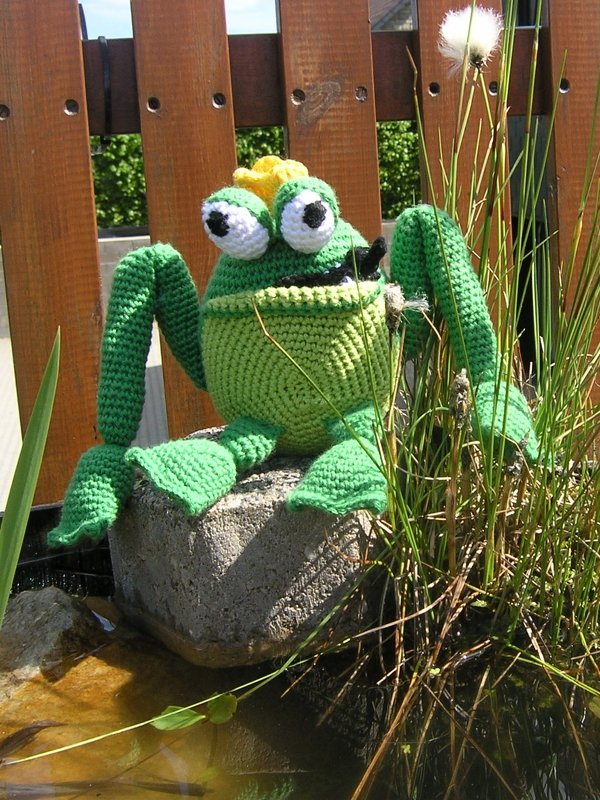 E-Book für den Froschkönig mit Geheimfach