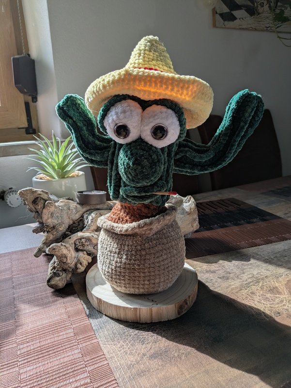 Häkelanleitung für die Kakteen aus Chenille