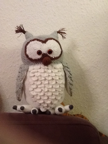 In diese Eule hab ich mich sofort verliebt 