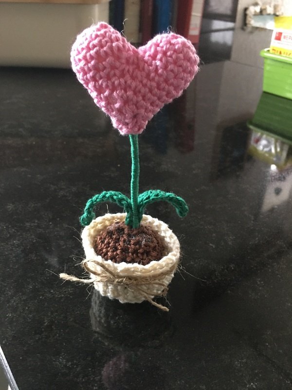 Heart / cactus in a flower pot - 2 variants