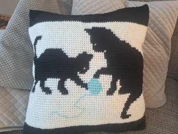 Danke für die tolle Anleitung. Ich habe ein Kissen für meine Tochter gehäkelt, obwohl die Tasche auch sehr gut ausschaut.