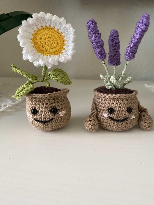 Emotional Support Plant (Sunflower, Lavender, Anemone, and Marguerite)