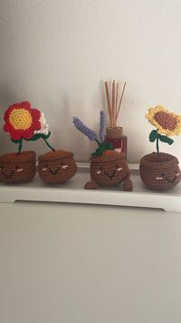 Emotional Support Plant (Sonnenblume, Lavendel, Anemone und Margerite)
