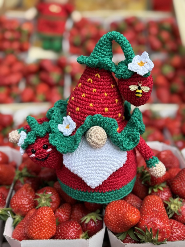 ERDBEER-WICHTEL – Häkelanleitung Gnom