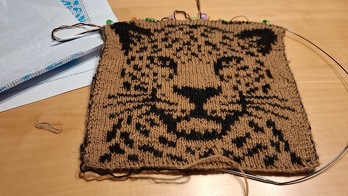 Ich bin noch am stricken, war etwas größenwahnsinnig. Wie gesagt wurde ist das vielleicht wirklich kein Projekt zum Einstieg.  Ich habe die Faden Haltetechnik am Anfang einfach nicht kapiert, aber wenn man es dann kapiert hat läuft es gut. Die Vorlage ist sehr schön und gut nachzuarbeiten. Ich habe mir alle 5 Maschenpaare einen Maschen Markierer gehängt, damit ich den Überblick behalte. Dafür dass ich es am Anfang bestimmt 10x aufgezogen habe und immer noch einige Fehler drin sind, bin ich ganz zufrieden.  Danke auch für den Tipp mit dem abwiegen der Wolle damit man weiß wie lange der Schal werden darf