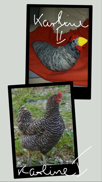 Ich habe noch eine Geschichte für euch:
Als Kind hatte ich ein Huhn, dass sehr auf mich fixiert war. Es folgte mir auf Schritt und tritt,  ließ sich von mir in den Arm nehmen und im Puppenwagen spazieren fahren. Ich hatte es 