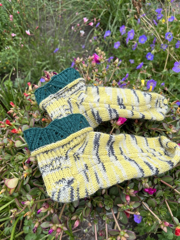 Sneakersocken Mongolia
