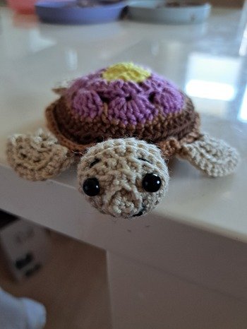 Die Schildkröte wurde verschenkt und sehr bewundert. Tolle Anleitung, schönes Ergebnis!