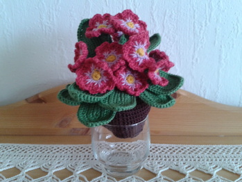 so sieht sie aus, meine Nacharbeit. Leider immer noch keinen passenden Topf ergattert. Ist doch etwas kleiner geworden. Nicht schlimm. Ich finde sie dennoch wunderschön.