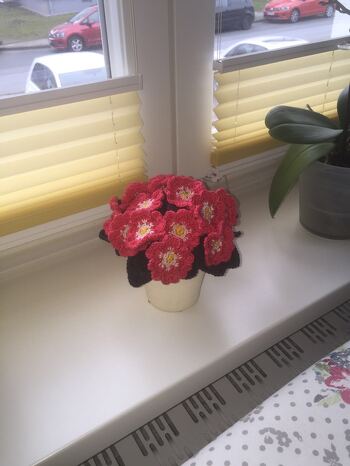 Ging als Geschenk an die Schwiegertochter ☺