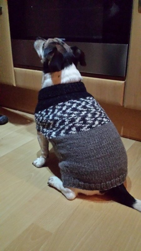Knitting Pattern for Dog Sweater – French Bulldog | Dog's Stuff LILO