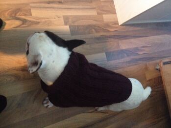 Es hat richtig Spaß gemacht ;)) Danke 