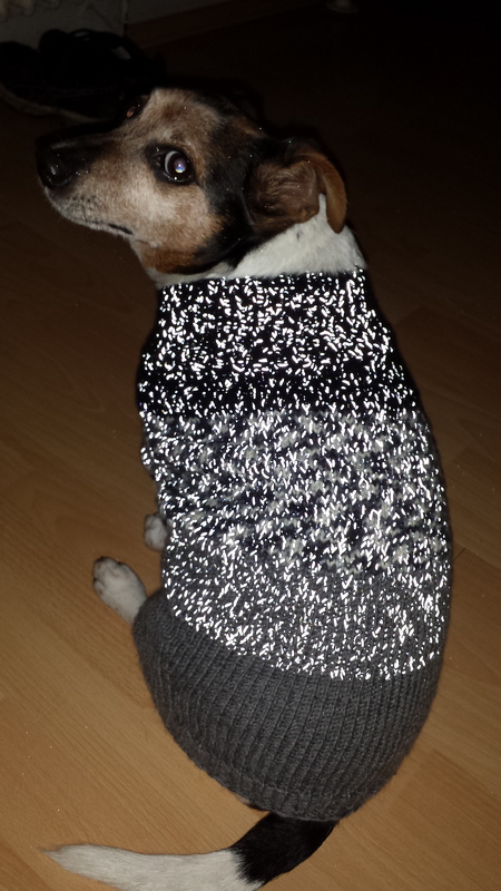 Knitting Pattern for Dog Sweater – French Bulldog | Dog's Stuff LILO