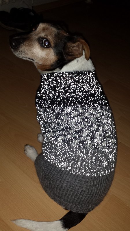 Strickanleitung für Hundepullover - Franz. Bulldogge | Dog&#039;s Stuff LILO