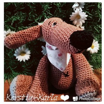 Danke für die tolle Anleitung.