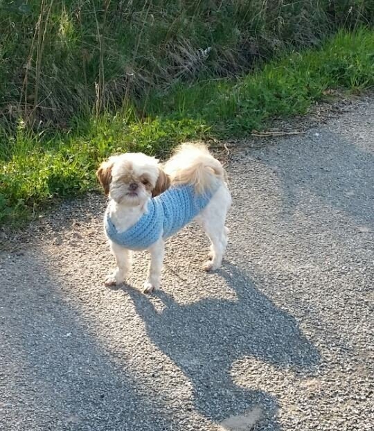 Häkelanleitung E-Book Hundepulli &quot;Effie&quot; in allen Größen