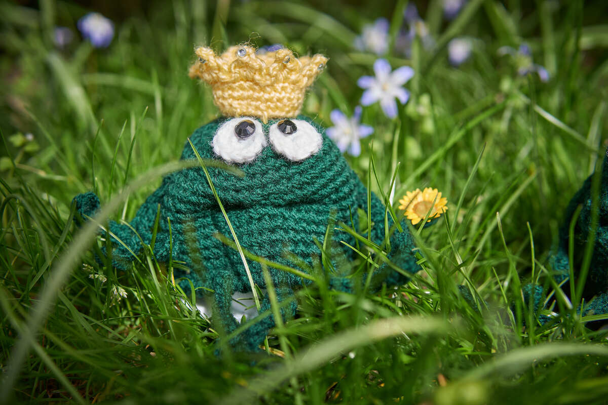 Crochet Pattern Egg Warmer Frog King - PDF english