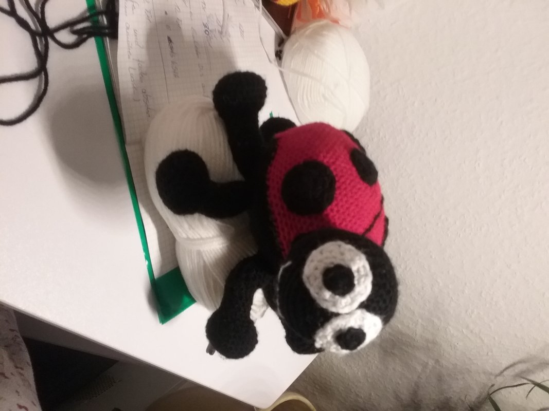 Marienkäfer und Regenbogenkäfer