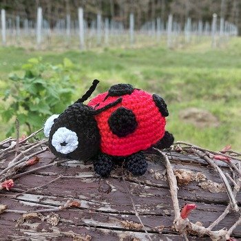 #Marienkäfer