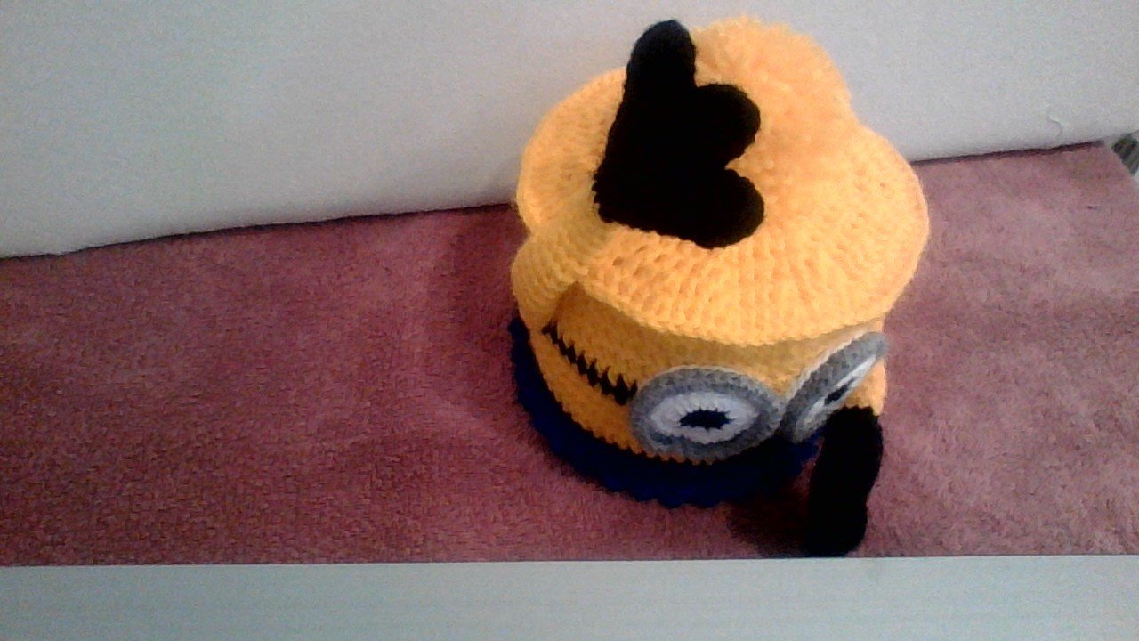 Minion Klopapierrollenhut - ultimative Deko fürs Auto