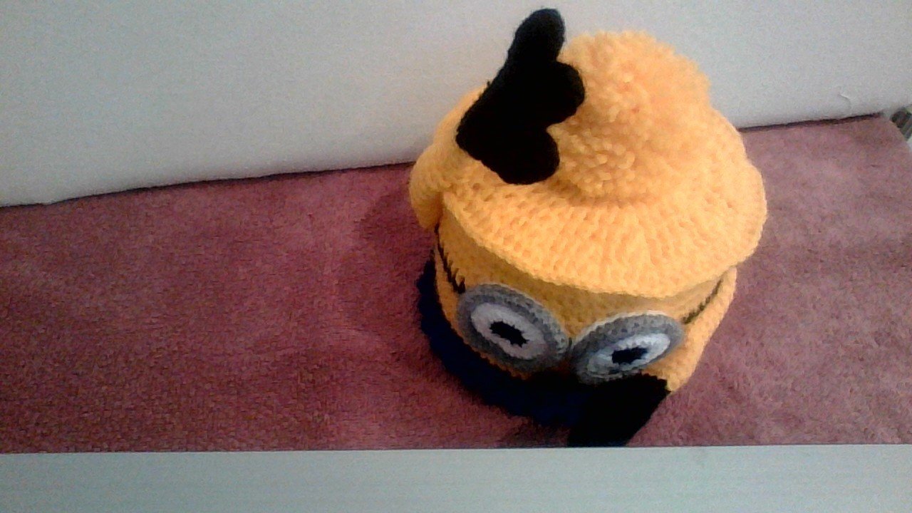 Minion Klopapierrollenhut - ultimative Deko fürs Auto