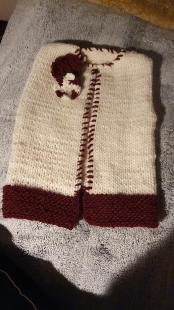 Niedliche kleine Weste. Einfach zu stricken und häkeln.