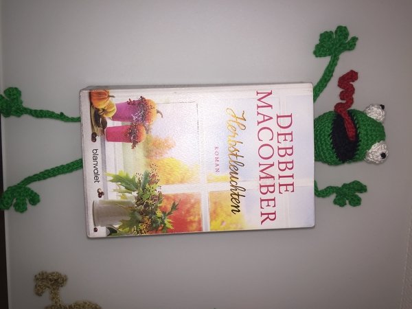 Amigurumi Crochet Frog Bookmark