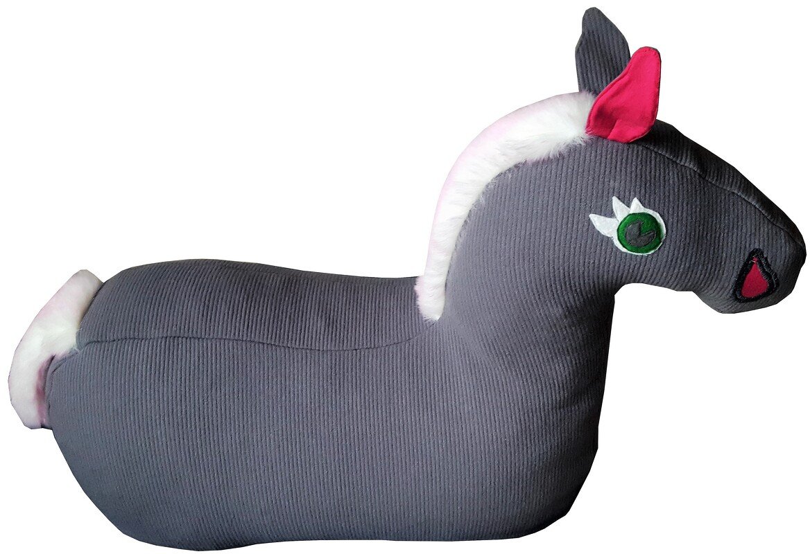 E-Book Reittier Pferd zum Reiten und Kuscheln