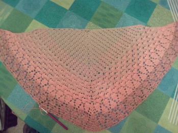 hier mein Anfang von Minoets Herbsttuch :)