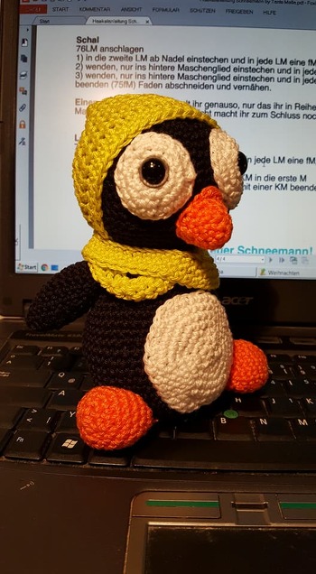 Anleitung perfekt, alles gut verständlich, ich habe meinem Pinguin noch eine Haube und einen Loop angezogen :-)   Anleitung vom Schneemann :-)