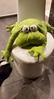 Ein Frosch zum Liebhaben