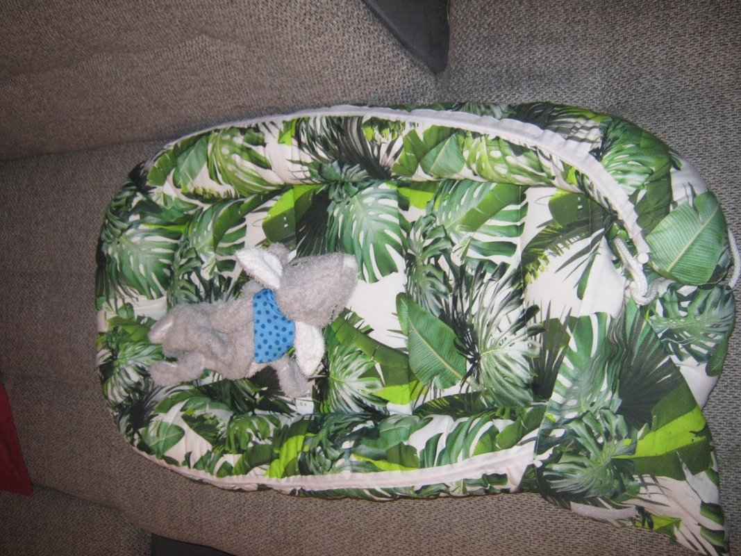 Babynest, Babynestchen