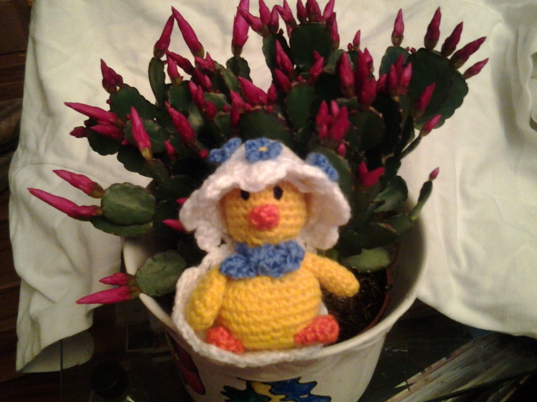 Handarbeiten Werke - Foto von schnipfer