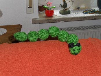 Die Raupe Amanda , so habe ich sie getauft.