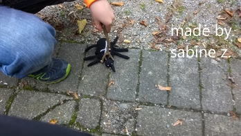 Die Orginal-Anleitung von kertupertu war mir zu klein, ich habe dies also etwas verändert. Mein Sohn hat Thekla dann gleich wieder eingefangen. Vielen Dank für die Tips.