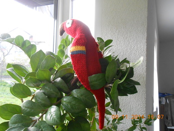 Ich habe mal einen Papagei gestrickt. Er sitzt bei mir im Blumenfenster.